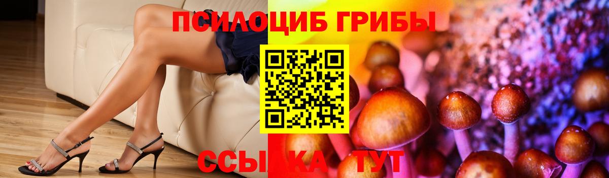 Владикавказ  Псилоцибиновые грибы Psilocybine cubensis  Вход с VPN 